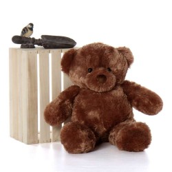 2.5 Feet Fat and Huge Brown Teddy Bear